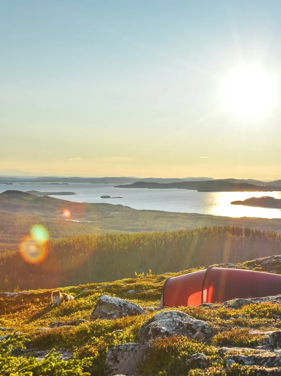 sundeste morgenmad vægttab